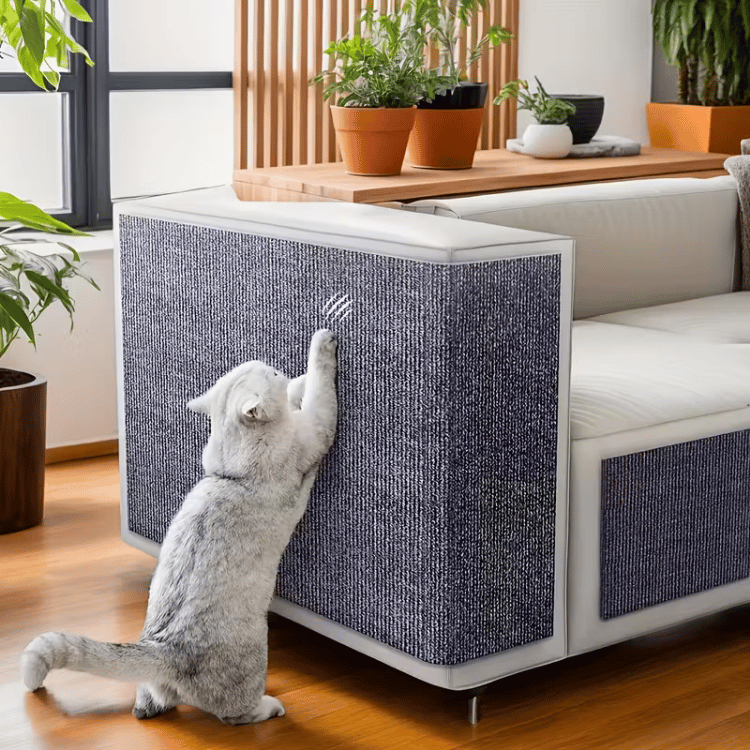 Protector Adhesivo Antiarañazos | Gatos