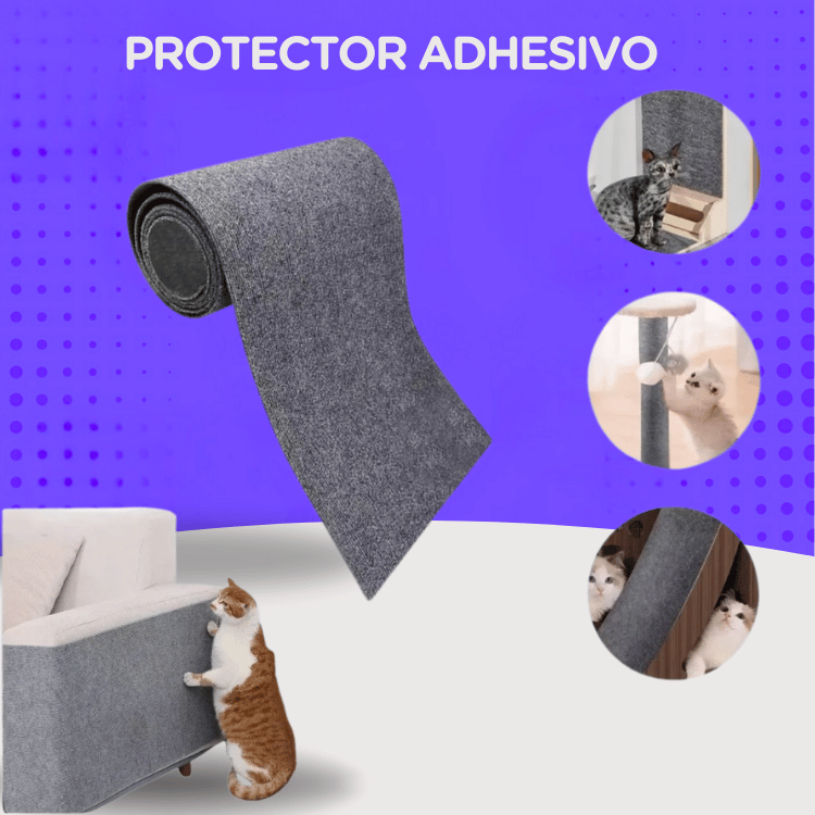 Protector Adhesivo Antiarañazos | Gatos