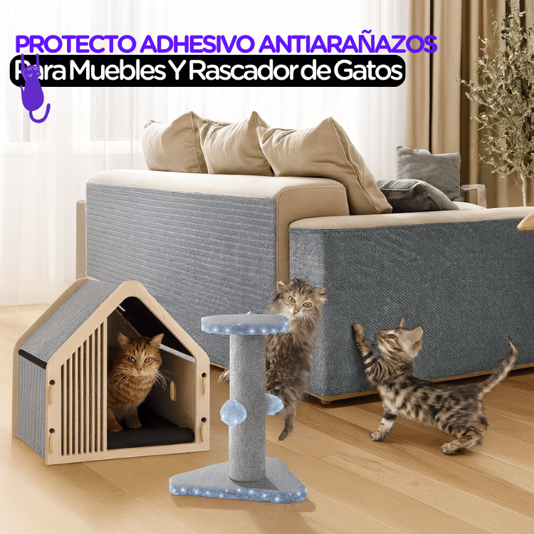 Protector Adhesivo Antiarañazos | Gatos