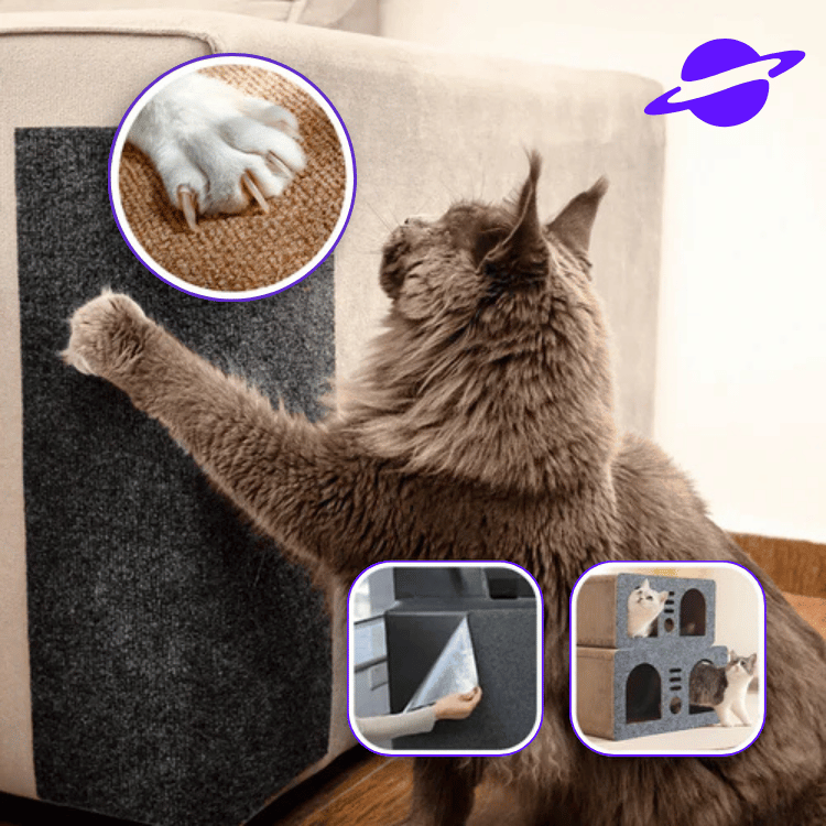 Protector Adhesivo Antiarañazos | Gatos